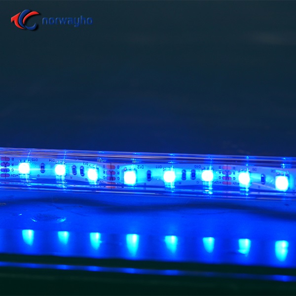 Built-in LED whip lights